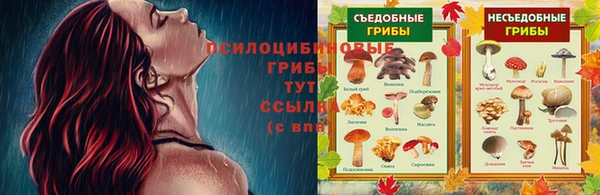 MDMA Михайловск
