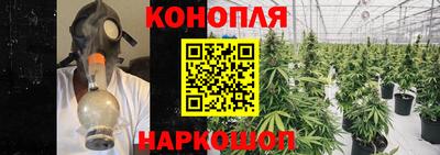 гашиш Гатчина