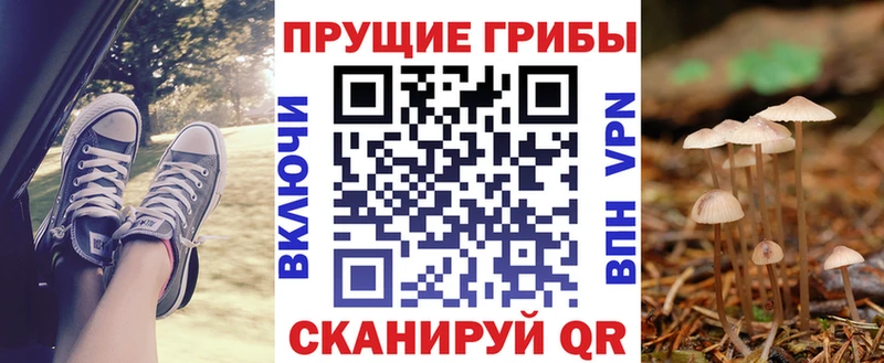 где найти   Магадан  Галлюциногенные грибы GOLDEN TEACHER 