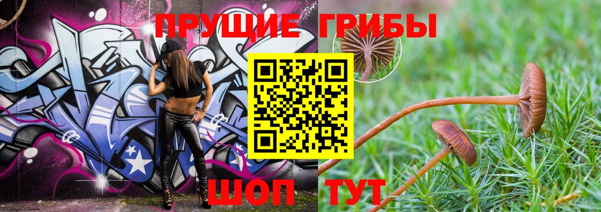Псилоцибиновые грибы Magic Shrooms Магадан