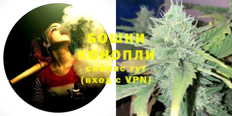 Каннабис OG Kush  Магадан 