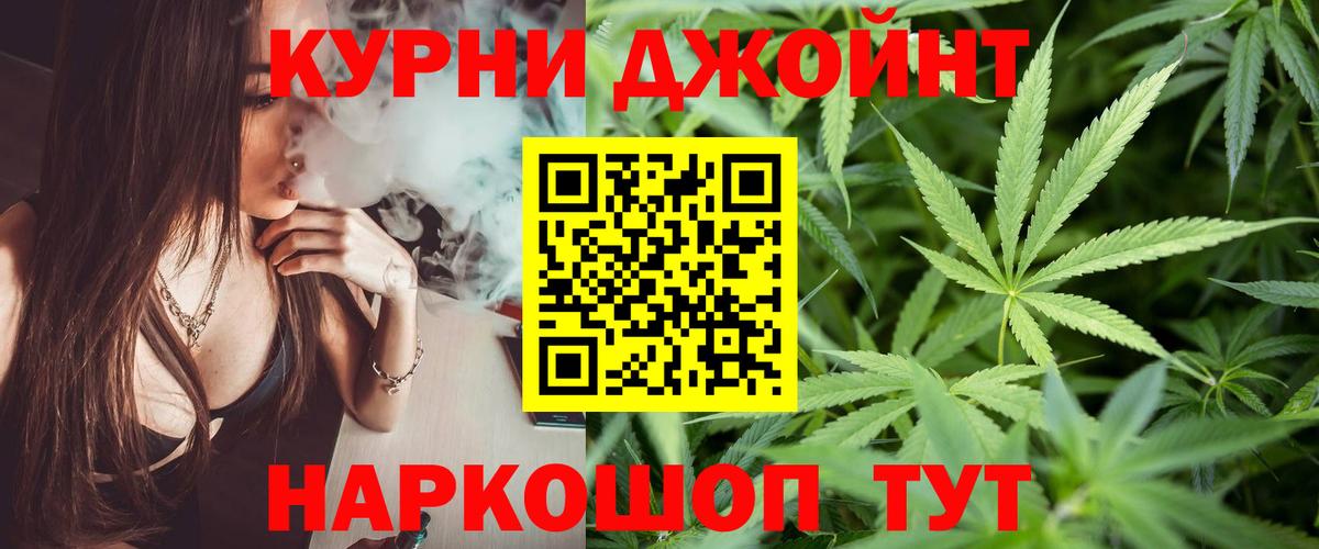 Бошки Шишки планчик Магадан